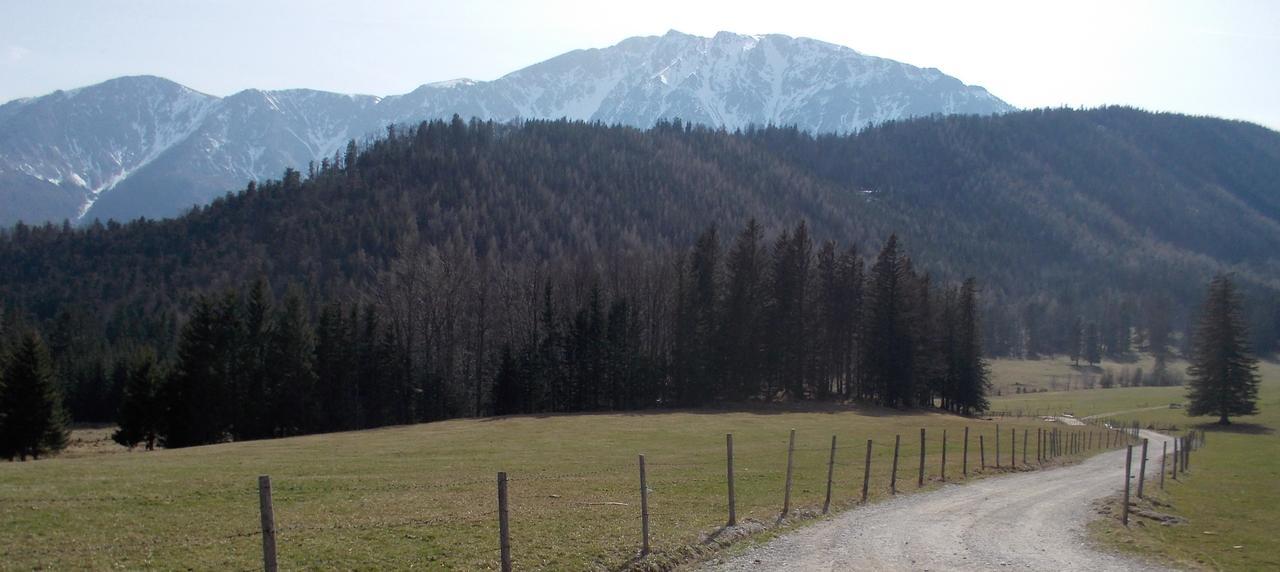 Ferienwohnungen Mamauwiese Gutenstein Exteriör bild