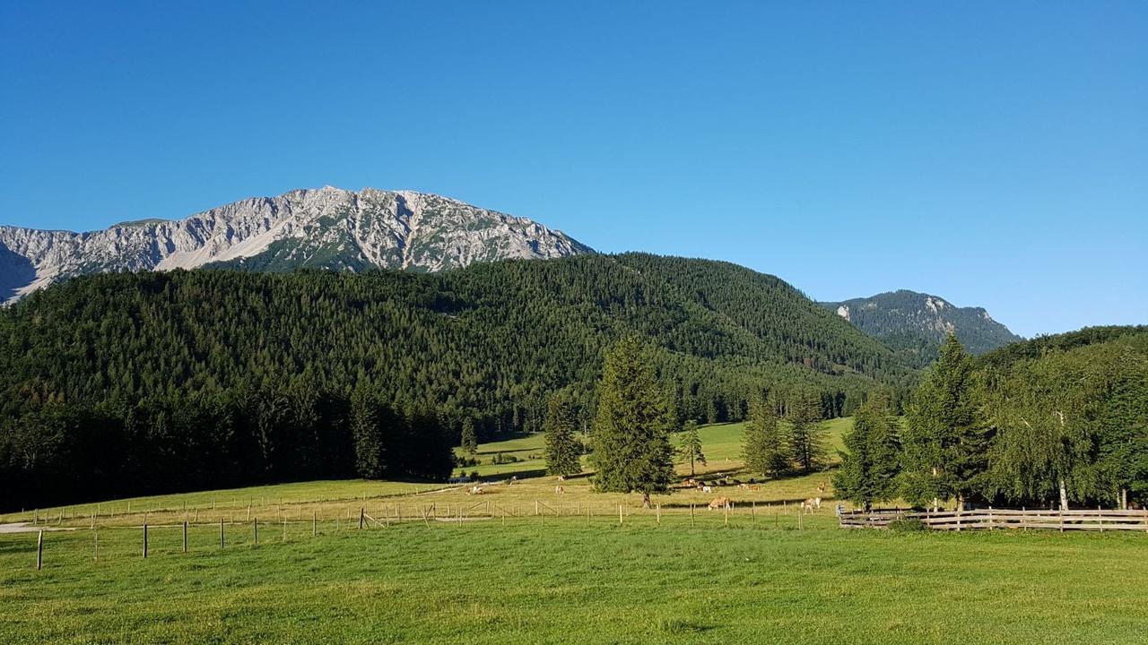 Ferienwohnungen Mamauwiese Gutenstein Exteriör bild