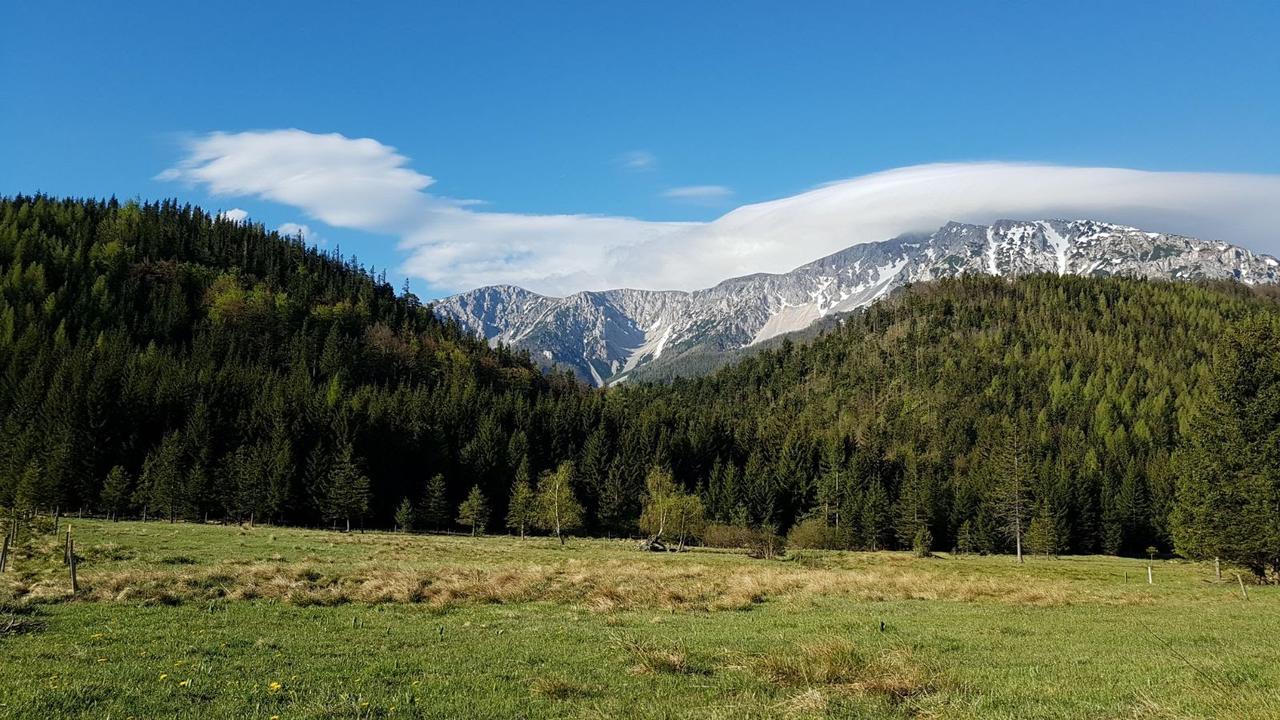 Ferienwohnungen Mamauwiese Gutenstein Exteriör bild