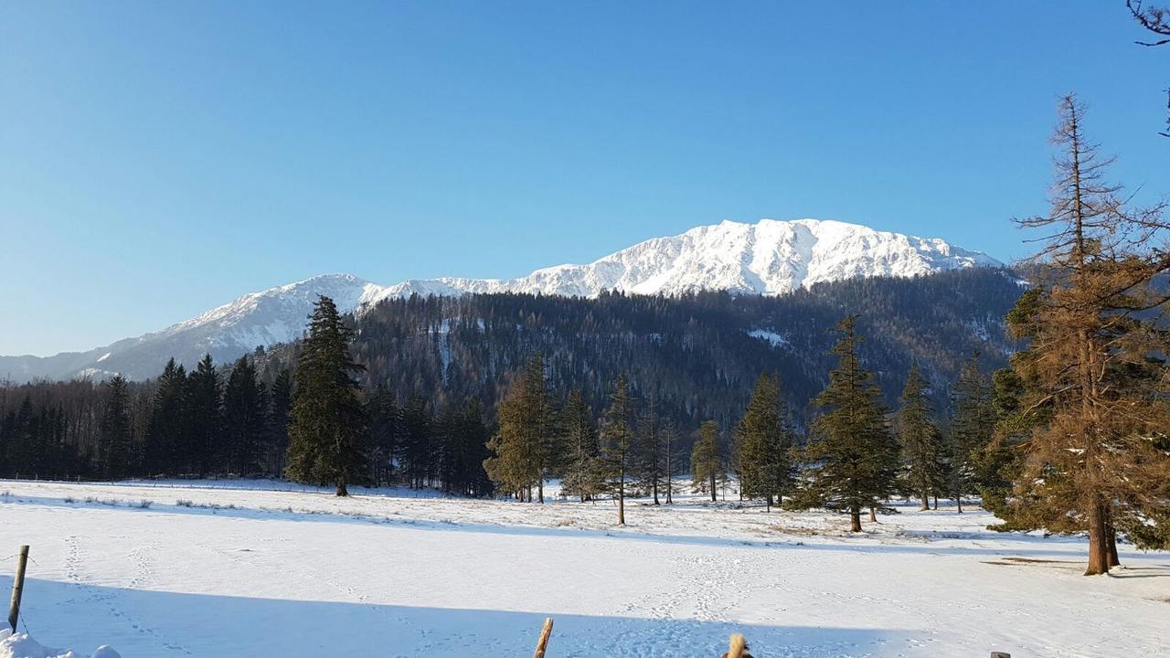Ferienwohnungen Mamauwiese Gutenstein Exteriör bild