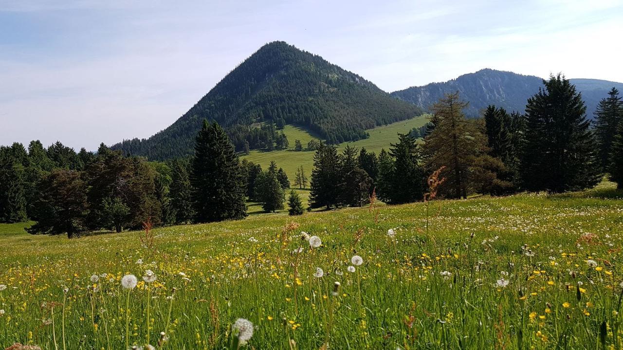 Ferienwohnungen Mamauwiese Gutenstein Exteriör bild