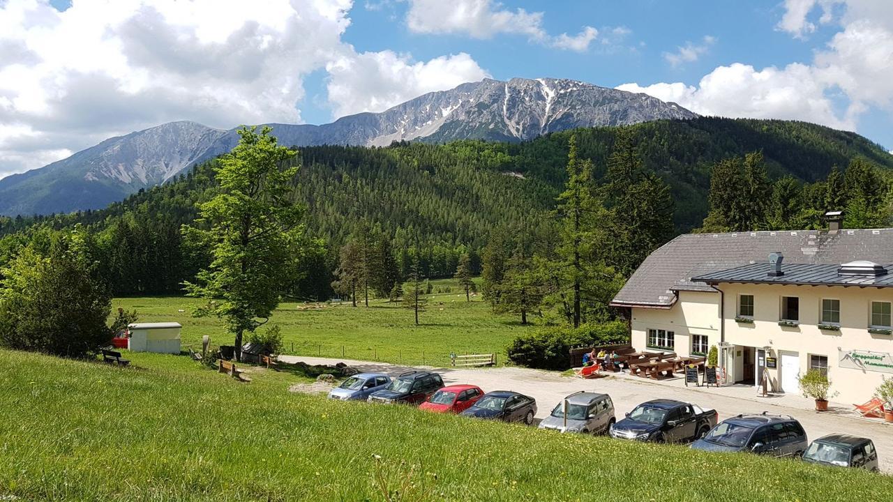 Ferienwohnungen Mamauwiese Gutenstein Exteriör bild