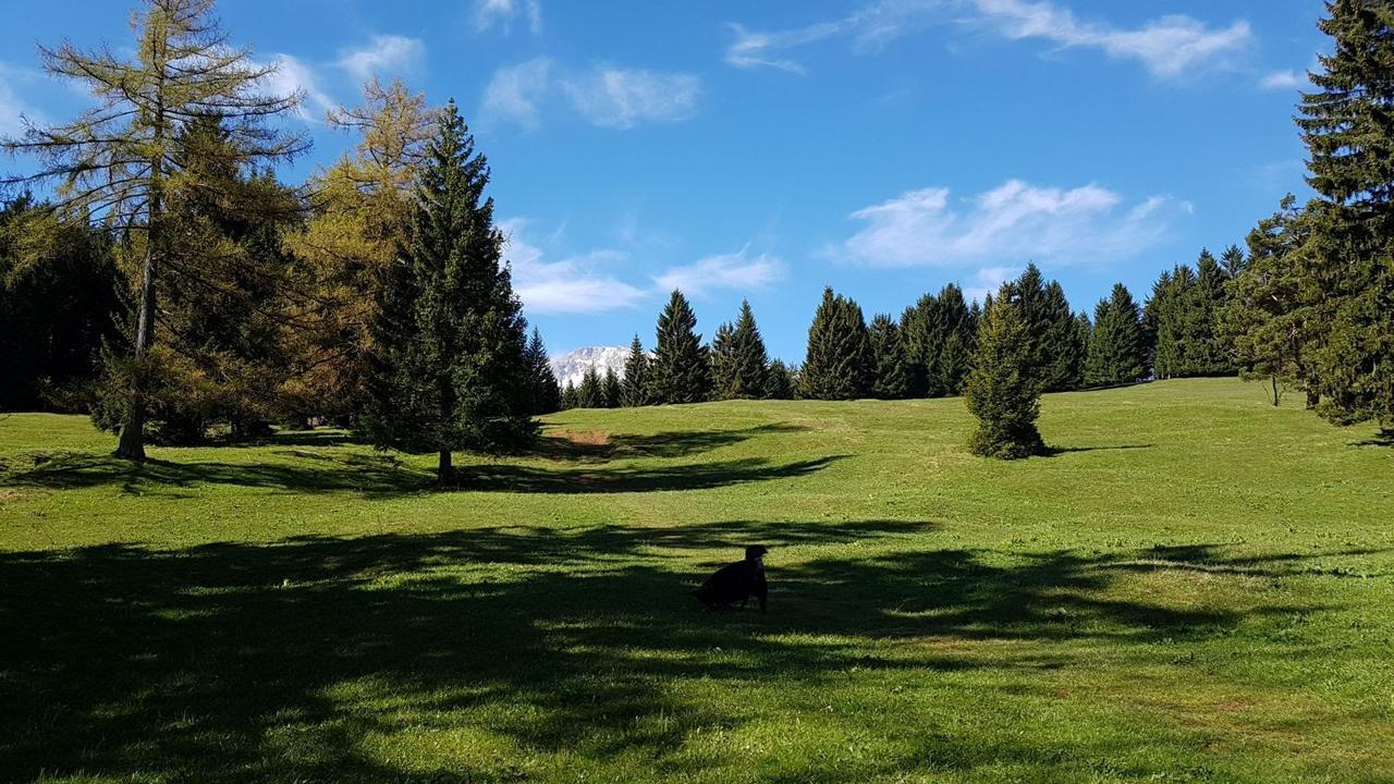 Ferienwohnungen Mamauwiese Gutenstein Exteriör bild