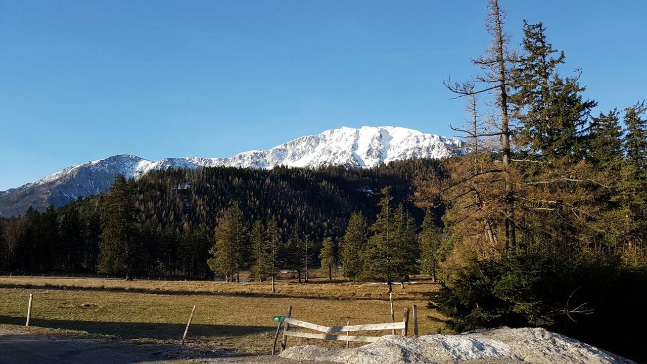 Ferienwohnungen Mamauwiese Gutenstein Exteriör bild