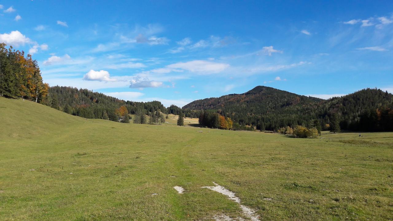 Ferienwohnungen Mamauwiese Gutenstein Exteriör bild