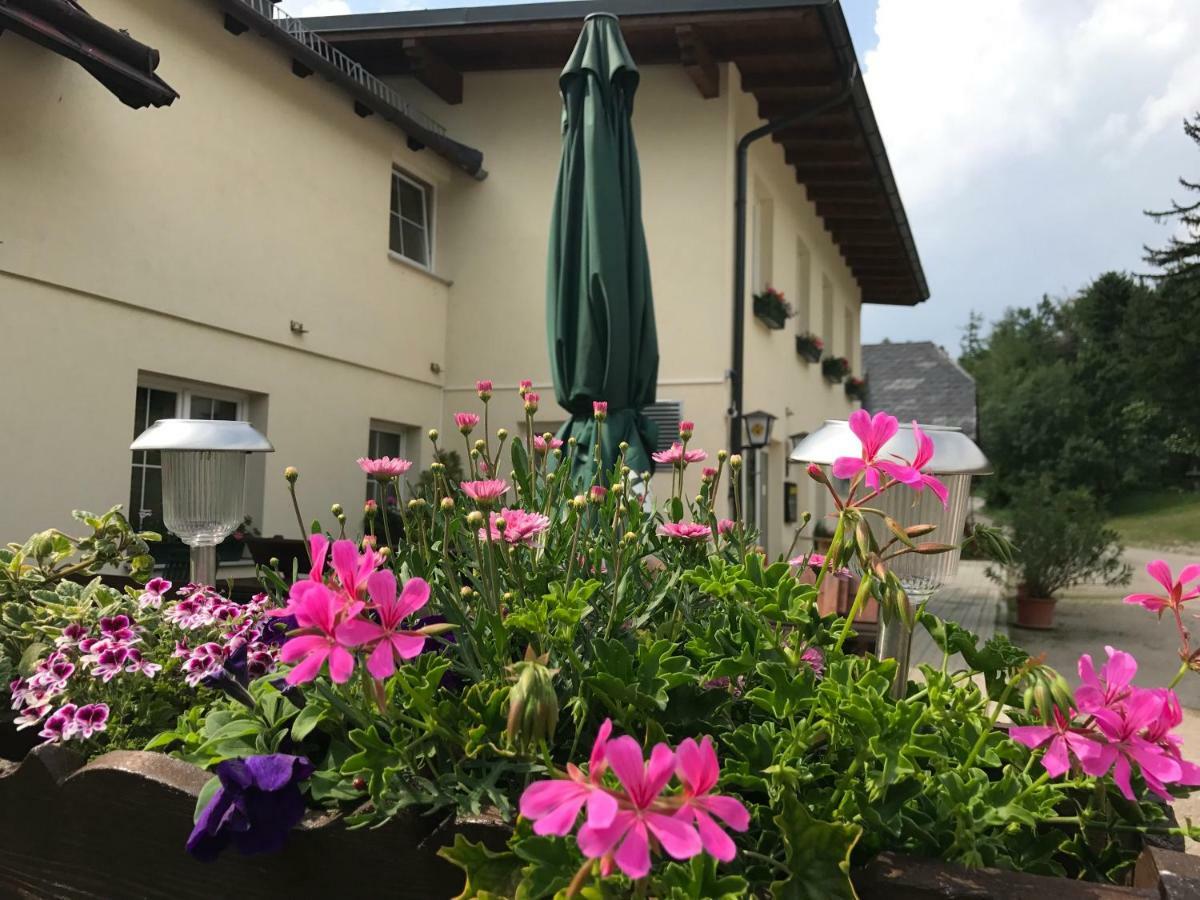 Ferienwohnungen Mamauwiese Gutenstein Exteriör bild
