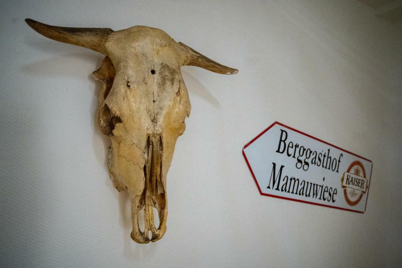 Ferienwohnungen Mamauwiese Gutenstein Exteriör bild
